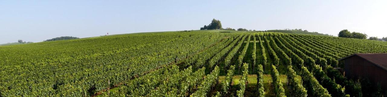 Ferienhof Berger Ug Hagnau am Bodensee Buitenkant foto